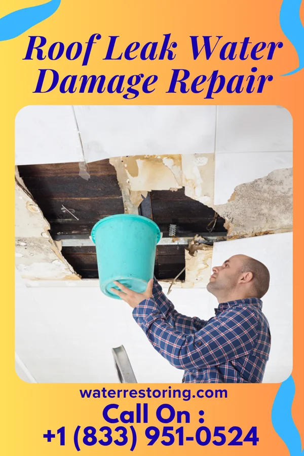 Roof Leak Water Damage Repair in Cherry Creek, CO